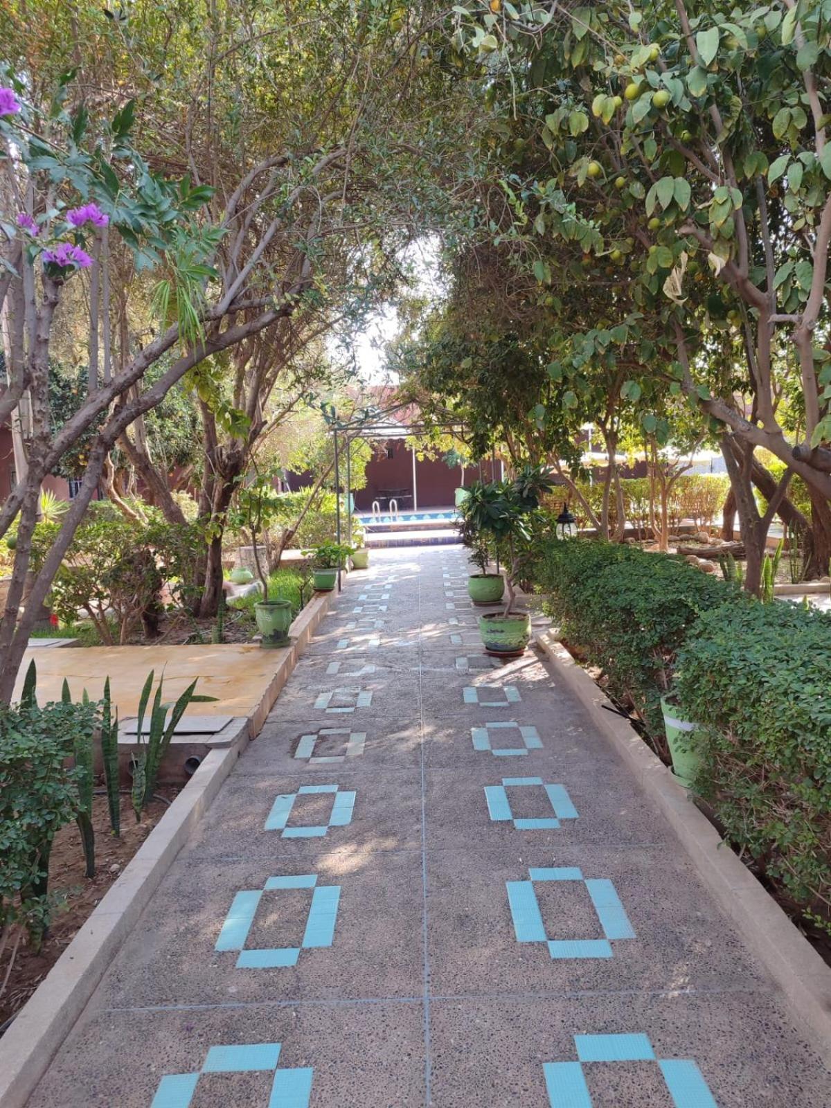Riad Les Jardins Mabrouk Taroudant Exteriör bild